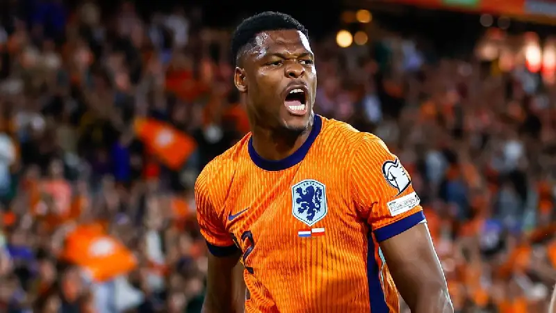 Dumfries Nederlands elftal